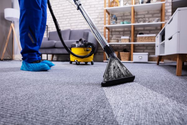 Carpet Deep Cleaning in Traverse City