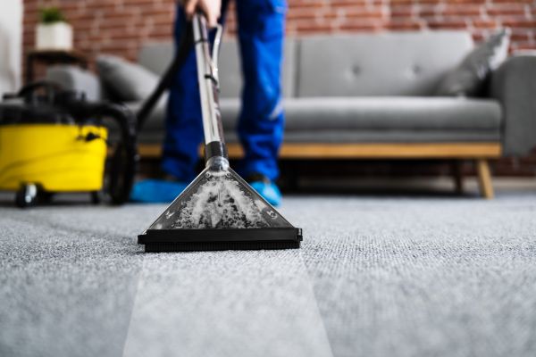 Residential Carpet Cleaning in Traverse City