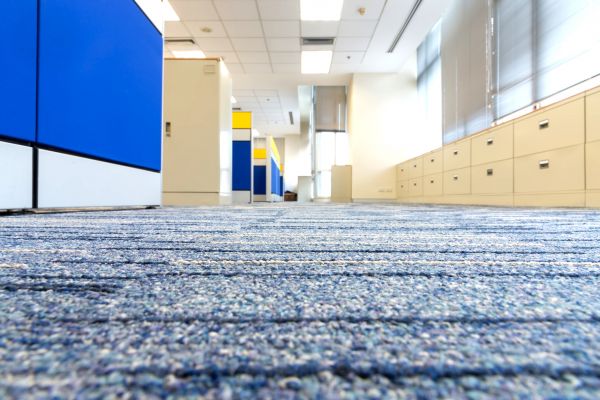 Business Carpet Cleaning in Traverse City