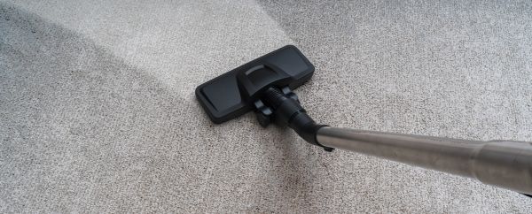 Condo Carpet Cleaning in Traverse City
