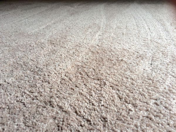 Plush Carpet Installation in Traverse City